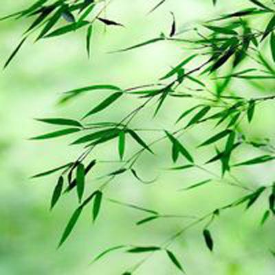 酷派集团回应公司独董郭敬晖被查：公司运转未受影响